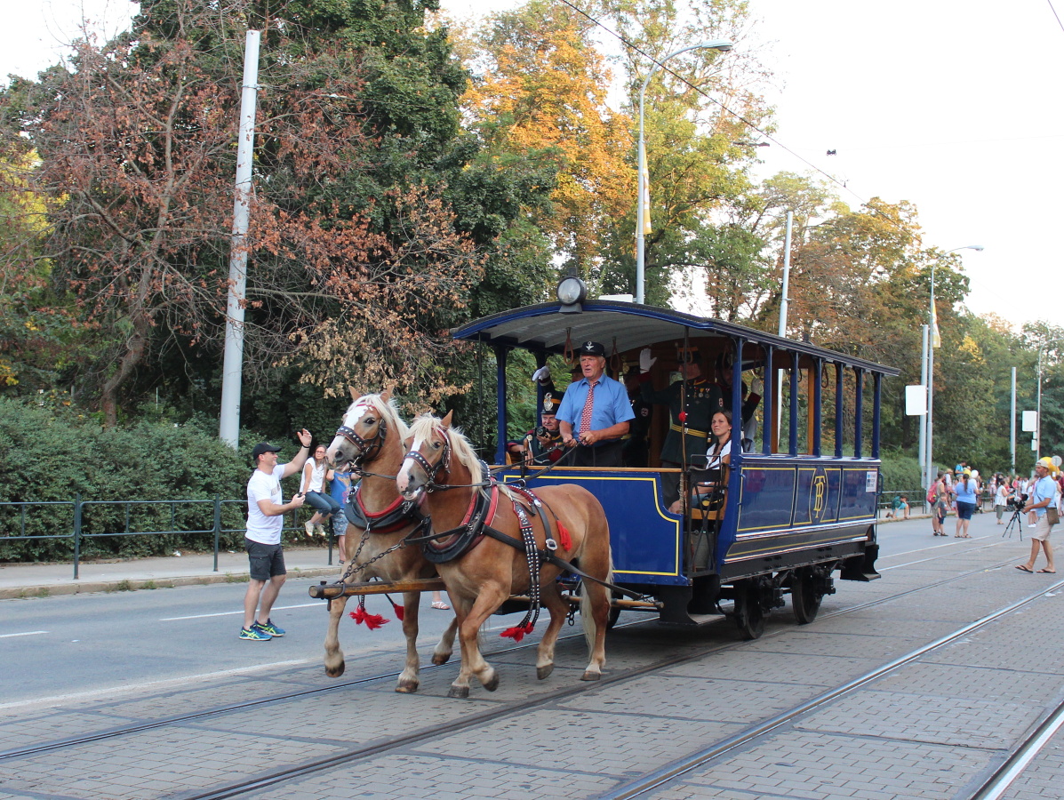 Horse tram #6